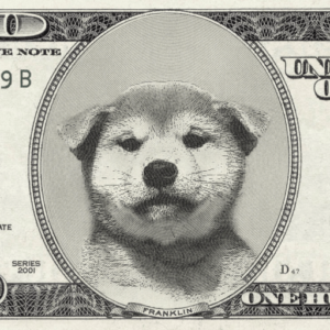 Dogllar Coin: Newest MEME Coin sensation—Get One Hundred Dogllars Now!