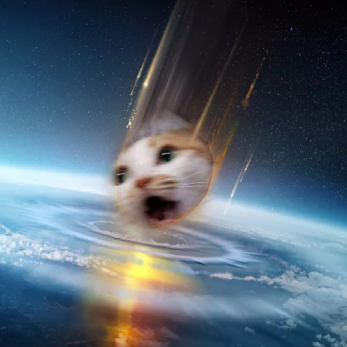 MEOWTEOR: The Meme Coin to Annihilate Jeets & Soar to the Moon!