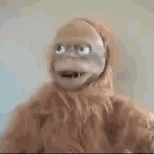 LUCY Coin: Meme Coin with LUCY THE ROBO-ORANGUTAN's Judgement