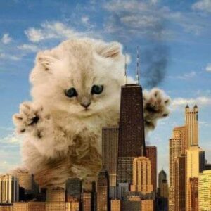 KITZILLA Coin: Fierce MEME Beast, Fun & Playful | KITZILLA MEME Coin