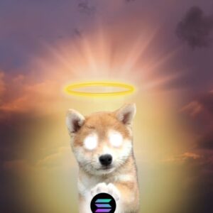 LSD Coin: The Ultimate Meme Coin - Lord Solana Dog Reigns!