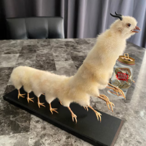 DCC Coin: Wild MEME Coin, Drunk Chicken Centipede's Chaotic Reign