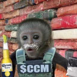 CCM Meme Coin: Chaotic Jungle King - Cocaine Corona Monkey