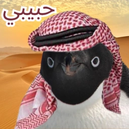 HABIBI Coin: The Arab Peng MEME Coin - Your New Obsession!