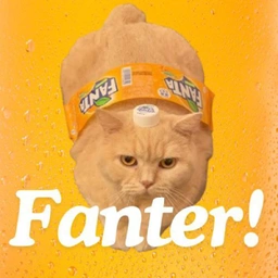 Fanter Coin: The Fanta Meme Coin with a Fizzy Twist on MEME Culture!