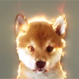 FIRE Coin: Hottest Meme Coin with Fiery Dog Mascot 'Fire Dog