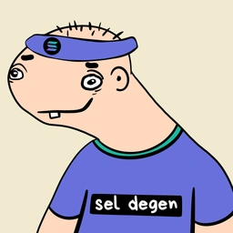 sel degen Coin: The Wildest MEME Coin Craze on Solana Blockchain