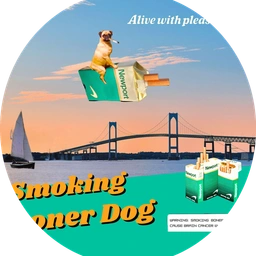 SBD: Smoking Boner Dog meme Coin - The Coin name Coin Soaring High