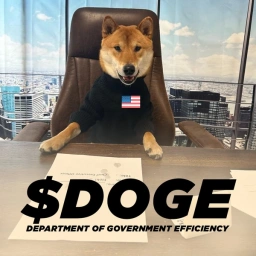 DOGE Coin: Official Meme Coin of Govt Efficiency, Endorsed by Elon Musk