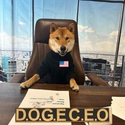 DOGE.CEO Coin: The Meme Coin CEO of All DOGE-Inspired Tokens