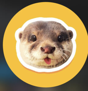 DEGEN Coin: The Wildest Meme Coin Inspired by Degen The Otter Viral Star