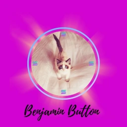 BENJAMIN Coin: Meme of Elegance & Fun – Own Benjamin Button Coin Now!