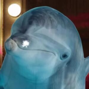 flipper: MEME Coin - Dive into flipper the white nose dolphin frenzy!