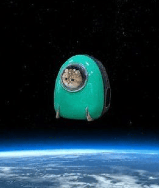 SPACEPUSSY Coin - The Ultimate MEME Coin - I CAN SEE YOU JEET FROM OUTERSPACE!