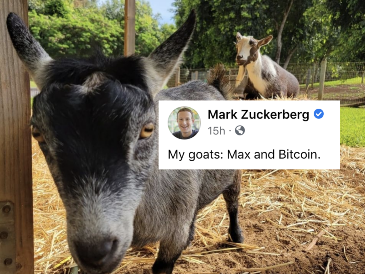 Bitcoin The Goat: An Iconic Cryptocurrency Revolutionizing Digital Payments. Join MEME is Game for all things BITCOIN.