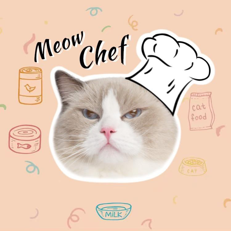 Puff: No1 TikTok Cat - 800m Likes Meme Coin Name Puff