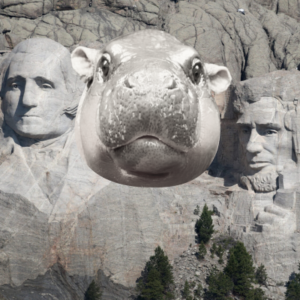 RUSHMOO Coin: Join the Meme Revolution with Mount Rushmoo!