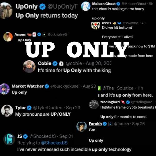 UP ONLY: Introducing 'UP' Coin - the Latest Addition to MEME Coins.