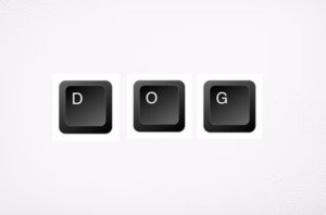 keyboard dog Coin: Introducing 'd + o + g' - the keyboard dog MEME Coin.