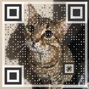 qrCAT Coin: The Purrfect Addition to Your MEME Coins Collection