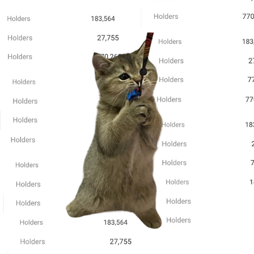 Hold Cat: Let's Make 'hold' the Number One MemeCoin Held by the Most Wallets