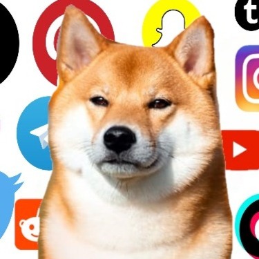 WWWDOG Coin: Discover the MEME-filled Journey with World Wide Web Dog