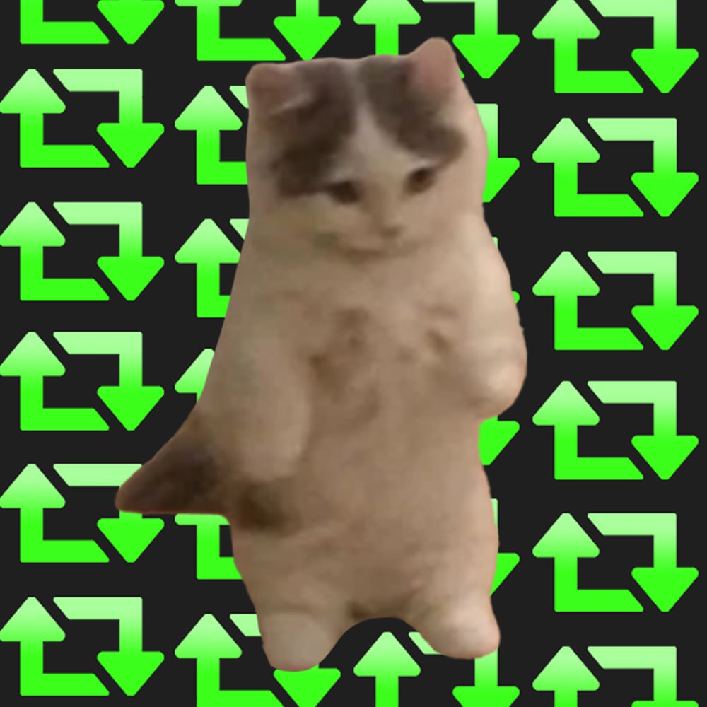 RCAT: Let's break a world record with Repost Cat meme Coin