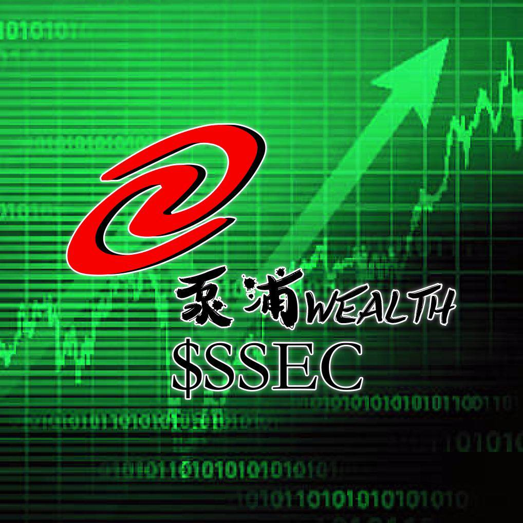 Chinese Stock Market