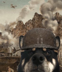 War Dog