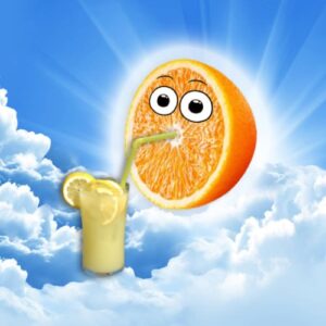 HODL Coin: Discover the Half Orange Drinking Lemonade, the Zesty Meme Coin