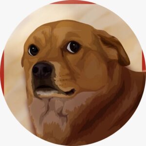 XIAOPANG: The Viral Dog Meme Coin!