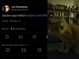 sasha Coin: Explore MEME Coins & Crypto Trends with Len Sassaman's cat