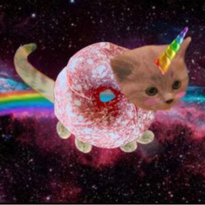 USDC: Stablecoin Pegged to USD, Unicorn Solami Donut Cat Meme Coin