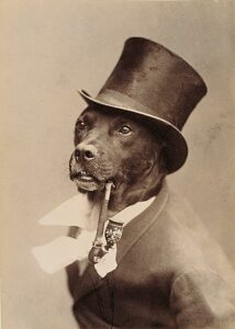 OLDWIF: Vintage dog photo - First Dog Wif Hat meme (Coin)