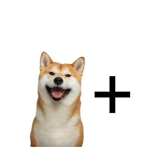 DOG+: The Ultimate Infinity Meme Coin - Combine DOG+ with Any Meme for Endless Possibilities!