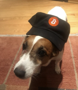 dogwifbtc Coin: Murad Dog, The ultimate MEME Coin for dog lovers! Join the dogwifbtc community and explore the world of digital currencies with Murad Dog, the mascot of this unique coin. Get ready to have fun and experience the excitement of the MEME coin revolution! #dogwifbtc #MEMECoins