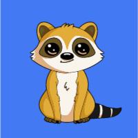 Rickey: Dreamer Raccoon on Solana - Meme Coin Name Coin