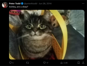 Ashley Coin: Peter Todd's Cat - Meme Coin Named Ashley