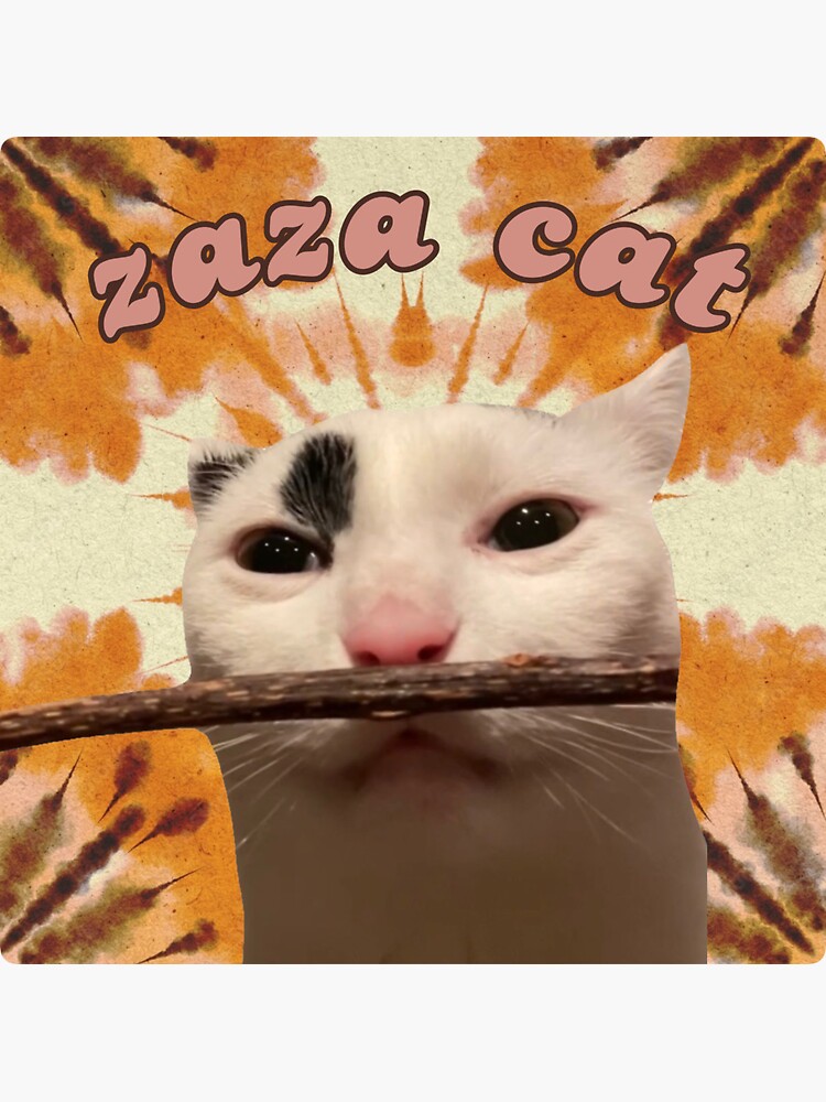 ZAZA Coin: Meme Coin for Zaza the Cat Lovers