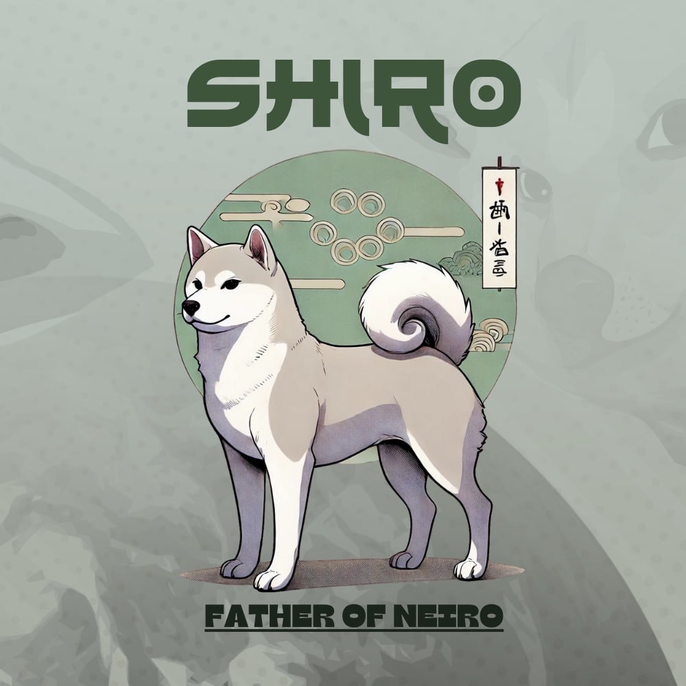 Shiro Coin: Honorable & Disciplined MEME Coin Representing Respect & Honor