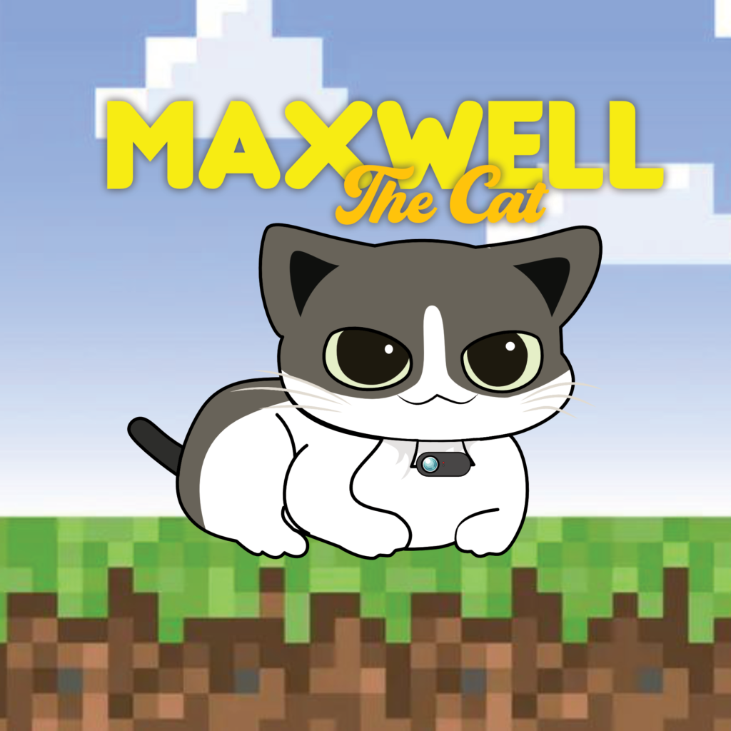 MAXWELL: Meme Coin, Maxwell The Cat - Famous TikTok Bully ud83dude3e