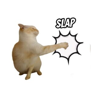 SLAP Coin: The Purrfect Meme Coin with Slap Cat!