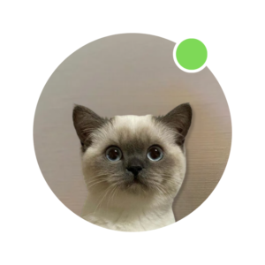 oCAT Coin: The purr-fect addition to your MEME Coins collection!