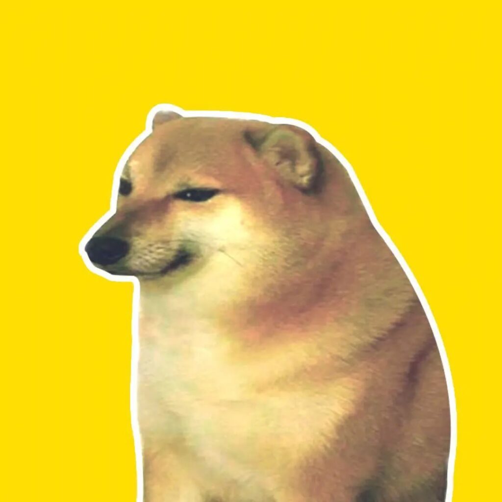 CHEEMS Coin: The Beloved Shiba Inu Meme Coin from Hong Kong