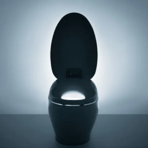 AI💩 Coin: Introducing the First AI Toilet - Get Ahead in the World of MEME Coins