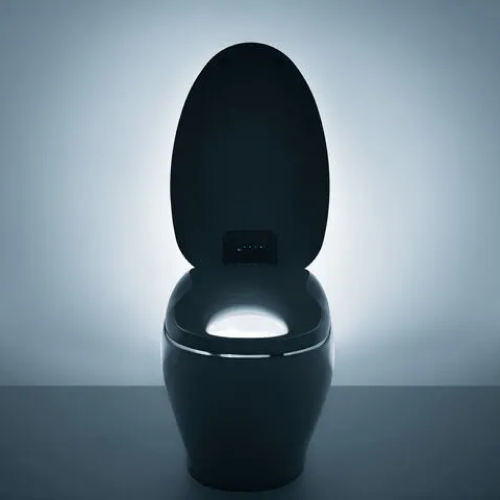 AIud83dudca9 Coin: Introducing the First AI Toilet - Get Ahead in the World of MEME Coins