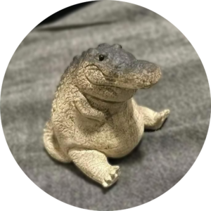 $cropy: Crocodile Coin - Memes and Crypto Made Cute!