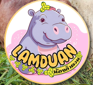 LAMDUAN: New Baby Hippo in Thailand - Meme Coin Name Coin