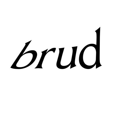 brud: Meme Coin - Brud: A New Way of Telling Stories Together