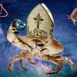 CC Coin: The Cult Of Crab - Join the MEME Coin Cult!